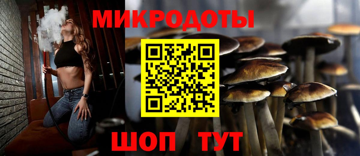 Псилоцибиновые грибы Psilocybe Гудермес